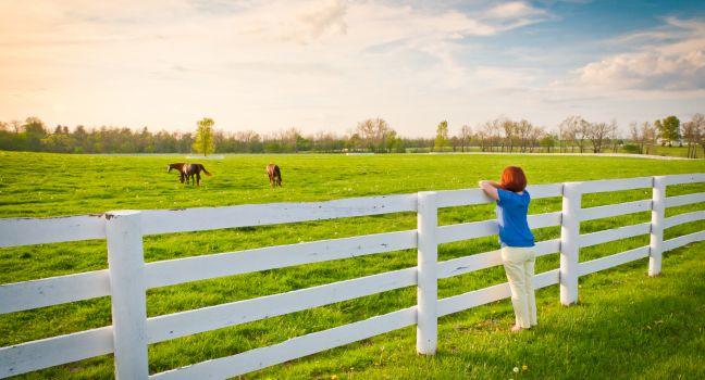 Woman  enjoying  countryside  view  with green pastures and horses at evening golden hour. Kentucky