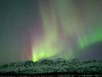 Aurora near Cantwell Alaska; Shutterstock ID 75727666; Project/Title: Fodors.com; Destination: Alaska; Downloader: Fodor's Travel