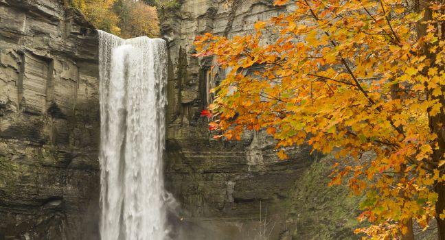 A vignette of Autumn color surrounds the top half of Taughannock Falls in Taughannock Falls State Park, NY