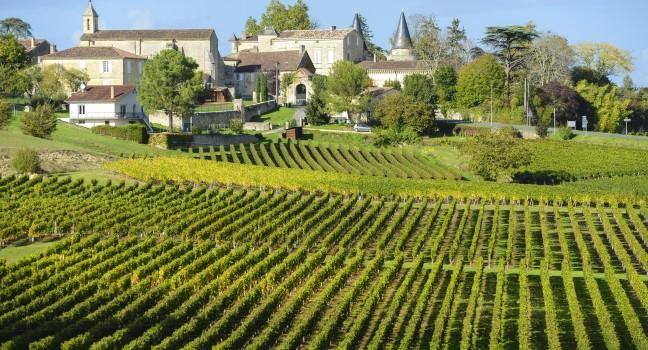 Vineyards of Saint Emilion, Bordeaux Vineyards; 