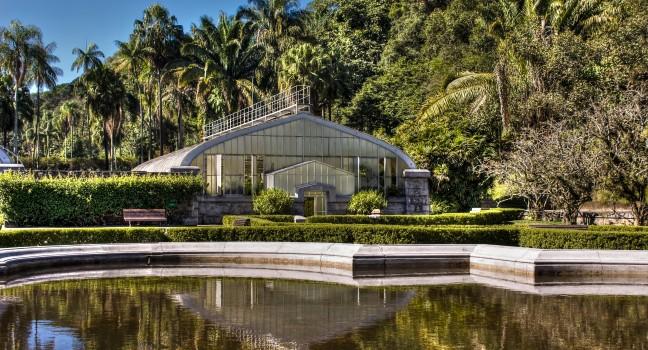 Botanic Garden in Sao Paulo, Brazil; 
